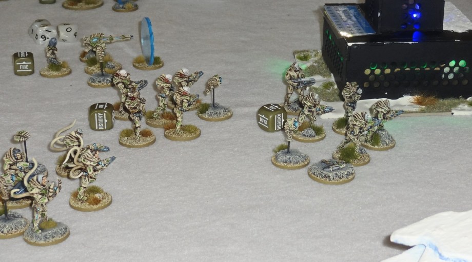 Best Painted Army in use - Ian Ackerman's 66th Isorians