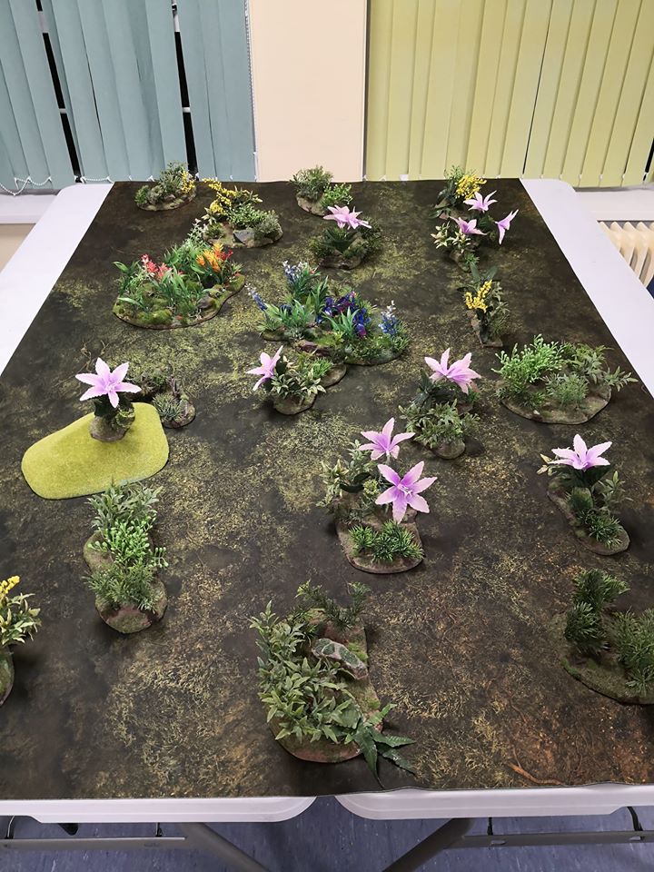 BDAWC Campaign Day 2019 - Dilexyon Jungle