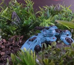 Geordie Irvin Freeborn M4 in jungle