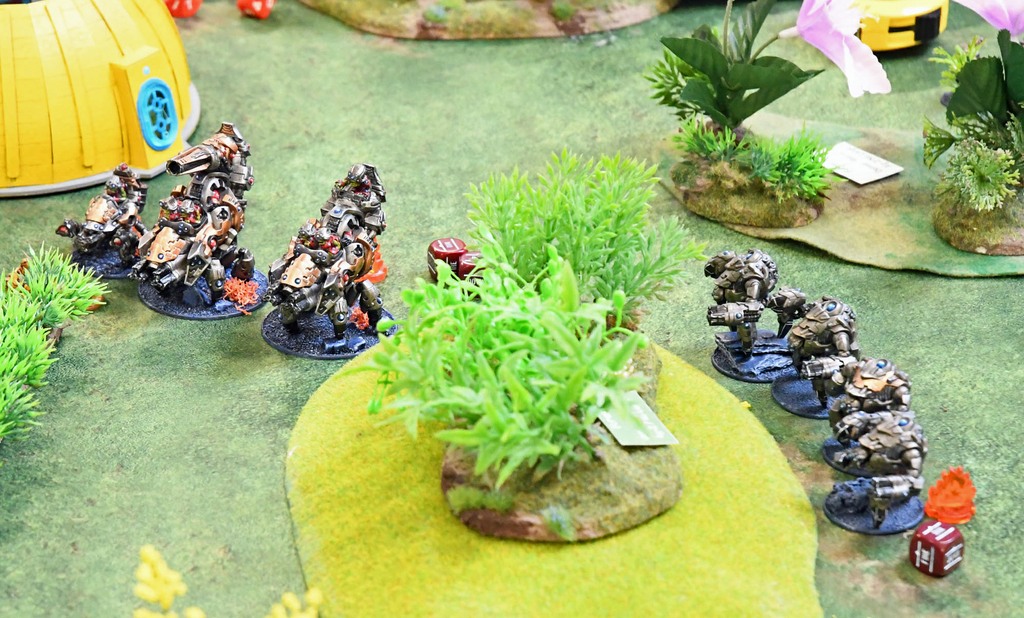 Jon Harrington's Ghar