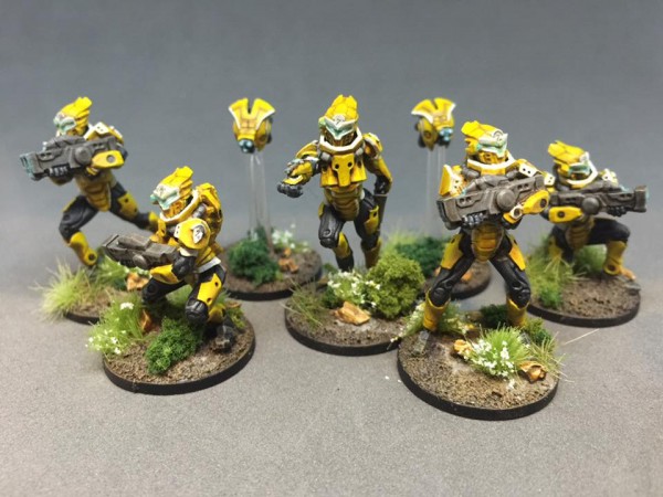 Georg Malter's Algoryn Infiltrator Squad