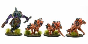 A hunting Hükk and pack of Angkriz