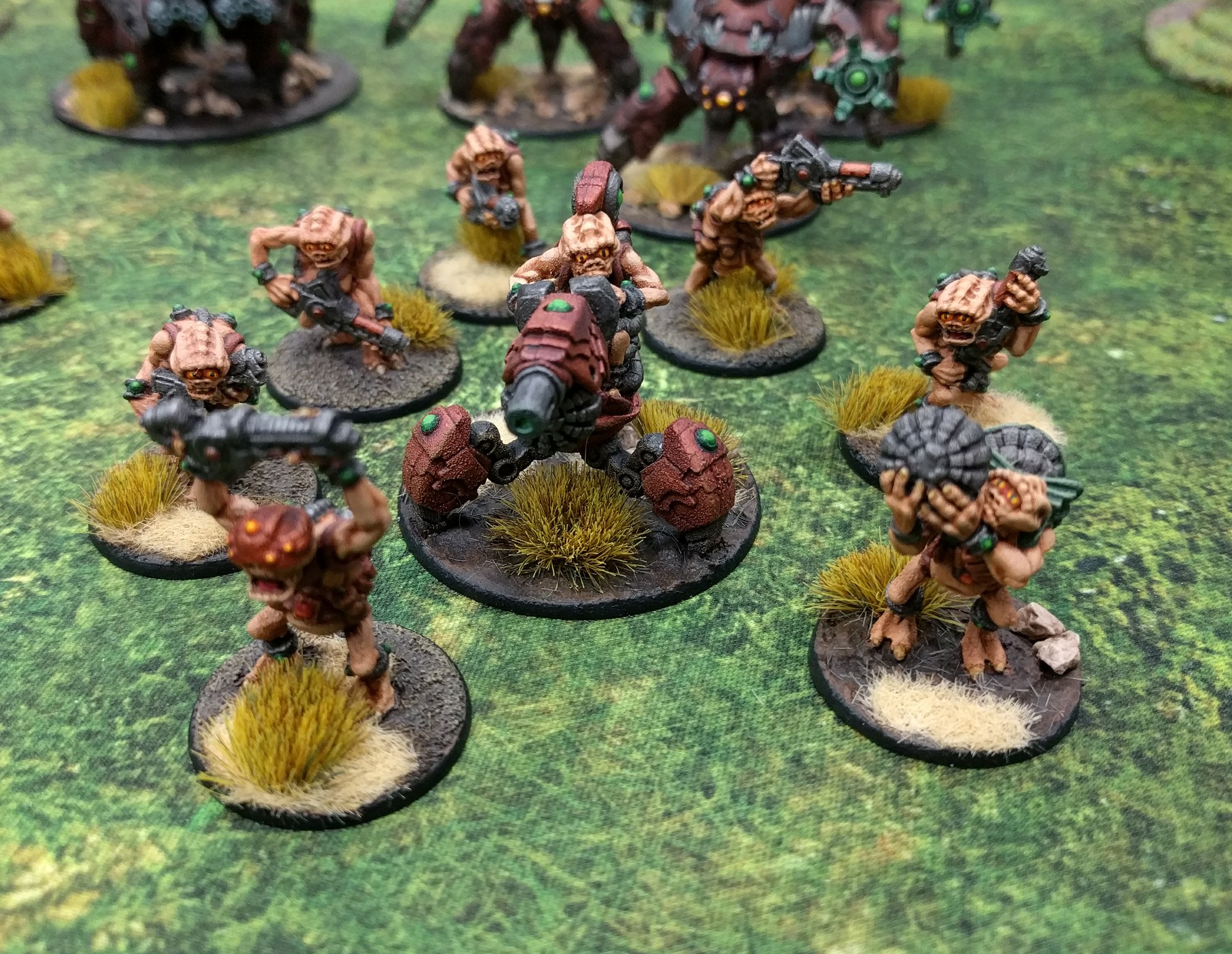 Antares Day 2019: Gergely Gombos Ghar Outcasts