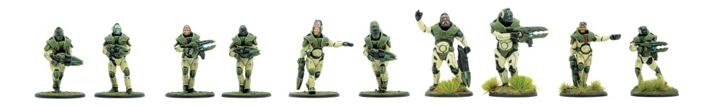 Comparison of sizes and heads of Concord panhumans